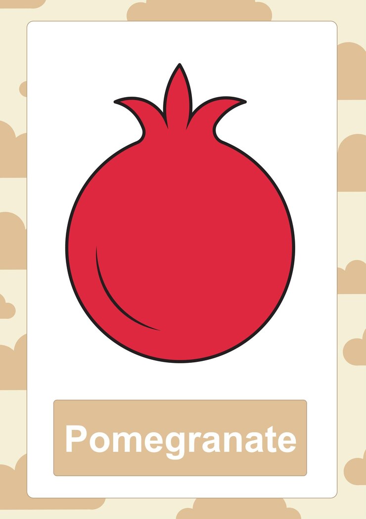 Vector granada flashcard