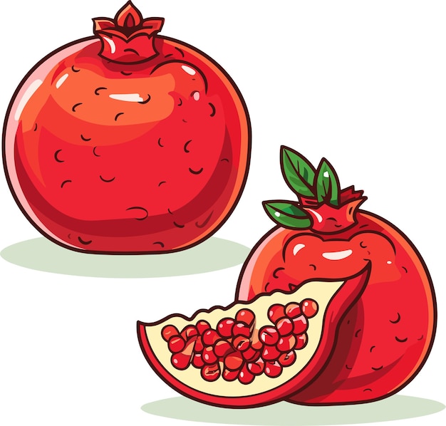 Granada, mano, dibujado, vector, ilustración, granada, fruta entera, y, mitad, rebanado