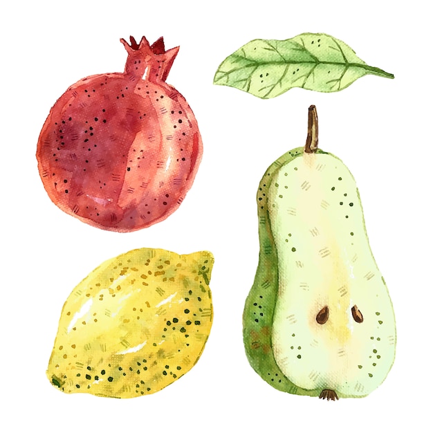 Vector granada, pera, hoja, limón. imágenes prediseñadas de frutas tropicales, set. ilustración de acuarela. comida sana fresca cruda. vegano, vegetariano. verano.
