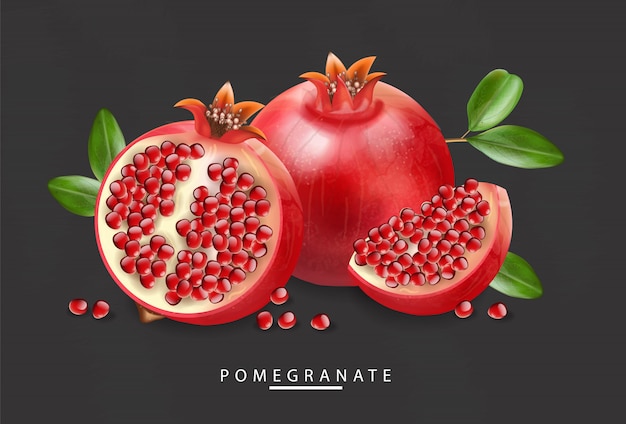 Vector granada roja realista, fruta fresca aislada, fondo blanco