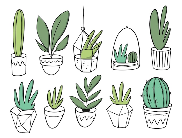 Grandes plantas en macetas blancas. estilo de dibujos animados. aislado. |  Vector Premium