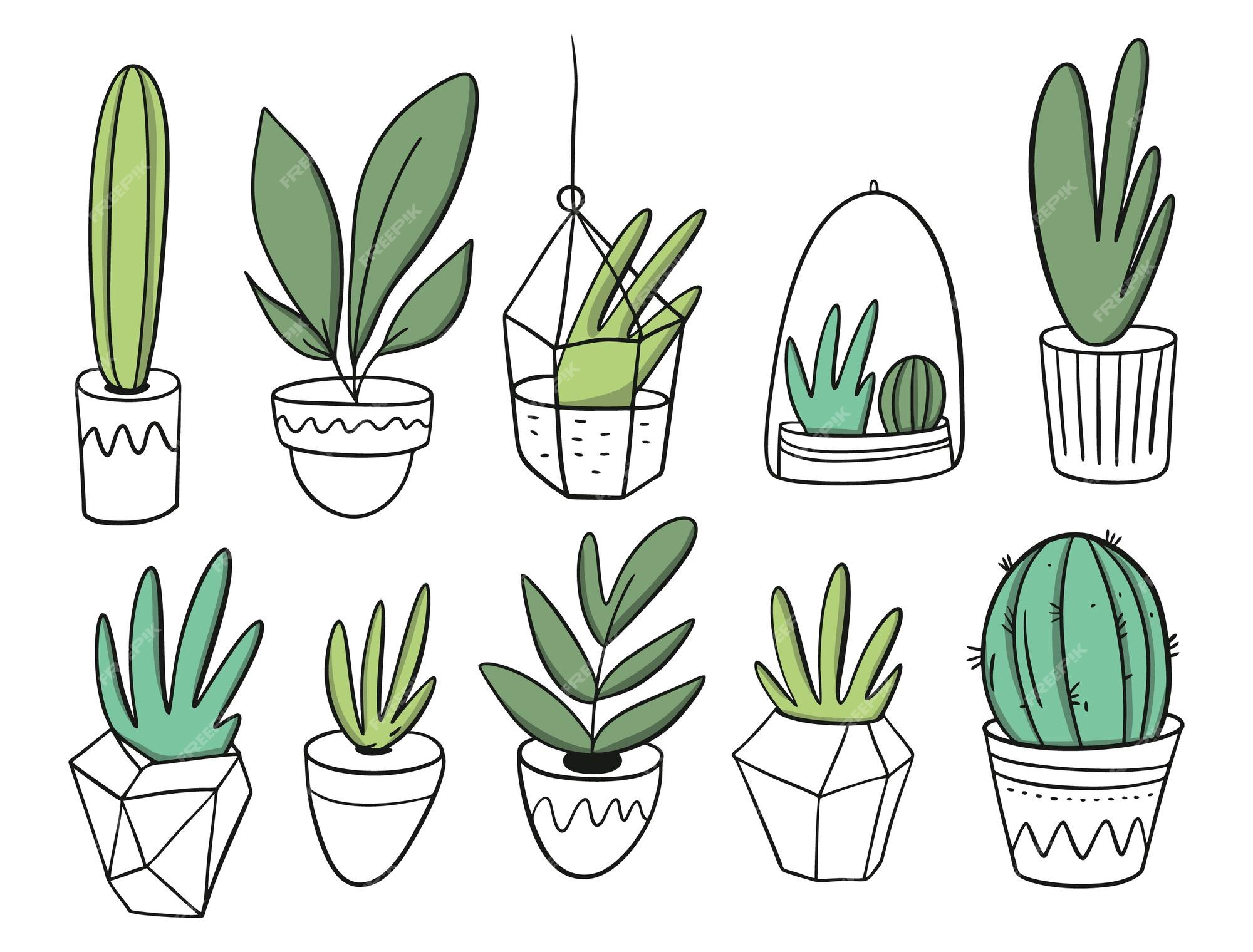 Grandes plantas en macetas blancas. estilo de dibujos animados. aislado. | Vector Premium Grandes plantas en macetas blancas. estilo de dibujos animados. aislado. | Vector Premium