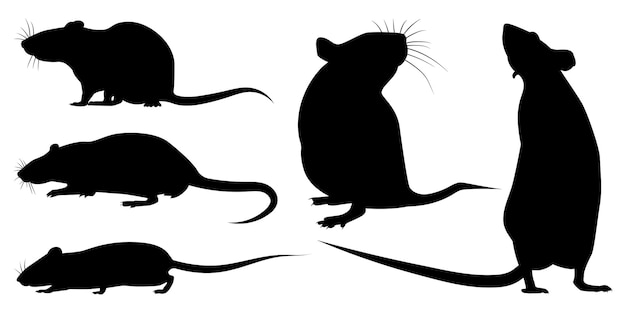 Granja Animal Rata Silueta Vector Ilustración