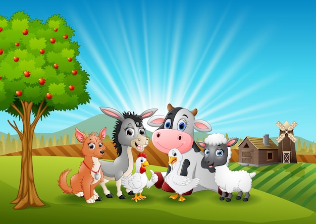 La granja de animales se relaja por la mañana
