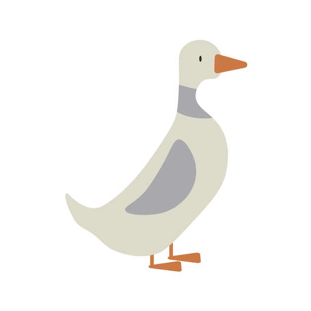 Granja gris ganso Ilustración vectorial aislada Icono para web EPS