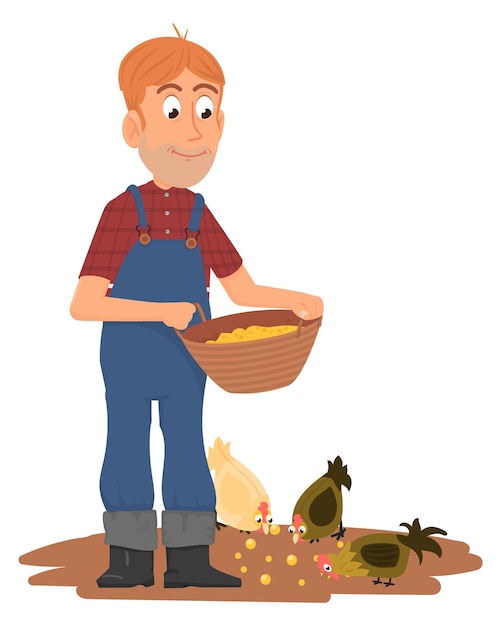 Vector granjero, alimentación, pollo, caricatura, hombre, con, doméstico, aves de corral