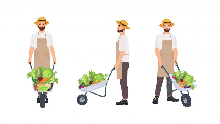 Vector granjero o trabajador agrícola tirando de la carretilla llena de cultivos recolectados. personaje de dibujos animados masculino aislado sobre fondo blanco. vistas frontal, posterior y lateral. ilustración colorida en estilo plano.