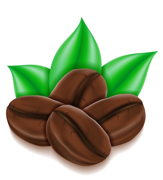 Grano de café en blanco