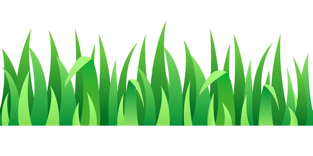 Grano verde borde sin costuras Línea 3D sin costuras de hierba Clipart vectorial aislado sobre fondo blanco