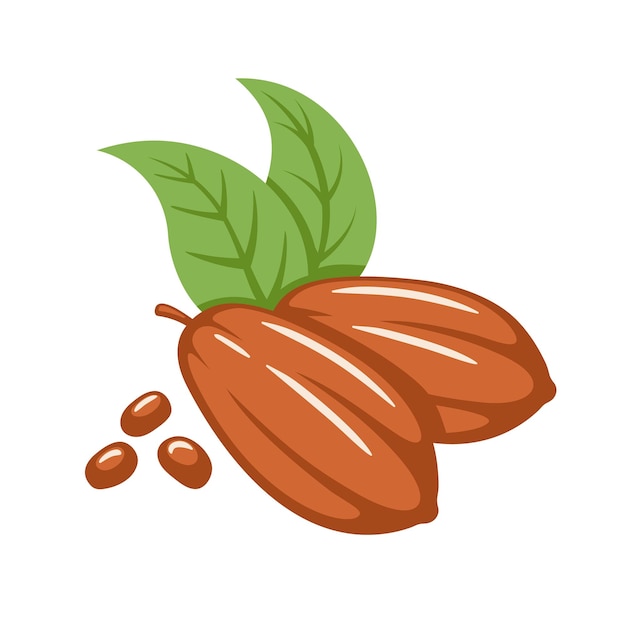 Granos de cacao aislado sobre fondo blanco.