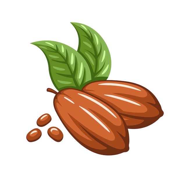 Vector granos de cacao aislados sobre un fondo blanco