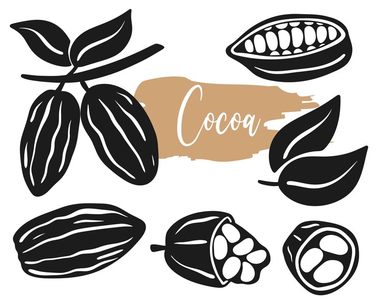 Granos de cacao aislados vector conjunto ilustración ingrediente para hacer frijoles de chocolate enteros en rama