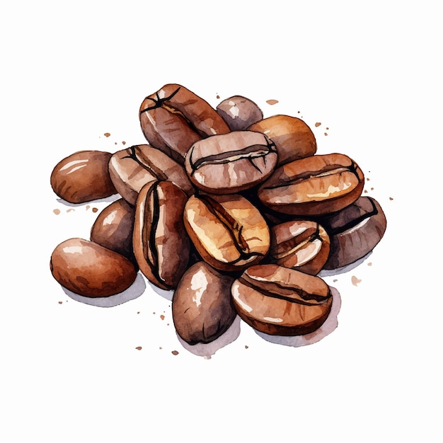 Vector granos de café de acuarela aislados en blanco