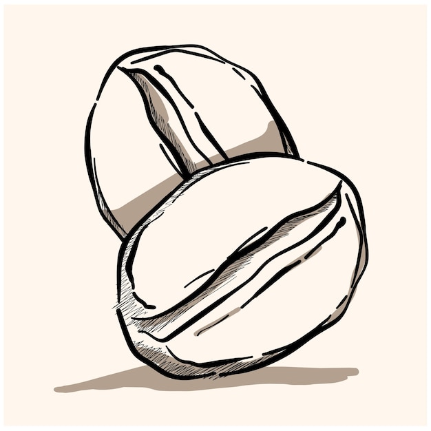 Granos de café doodle una ilustración de garabato vectorial dibujado a mano de granos de café