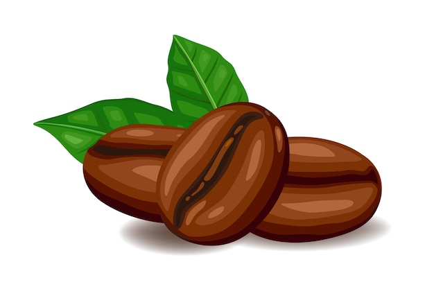 Granos de café recién tostados con hojas aisladas sobre un fondo blanco Vector eps 10