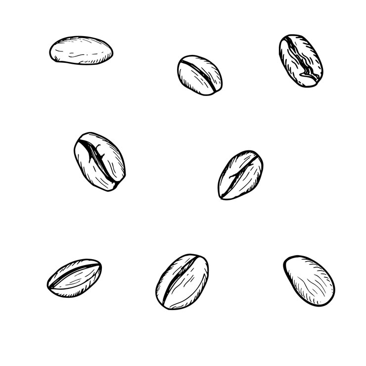 Vector granos de café tostados aromáticos realistas con texturas detalladas, ilustraciones aisladas por vectores, clip art, granos crudos orgánicos en diferentes formas para la promoción de productos de café, decoración de café.