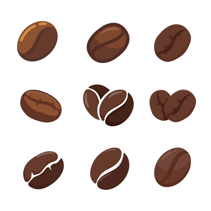 Vector granos de café tostados marrones tiene un aroma y sabor amargo para preparar con agua potable caliente