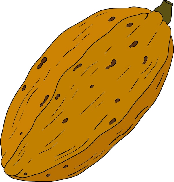 Granos de chocolate de cacao dibujado a mano ilustración vectorial de color es estilo boceto Alimentos orgánicos saludables