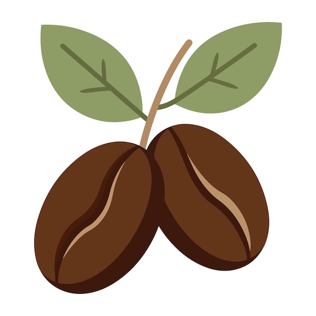 Granos y hojas de café Ilustración gráfica de granos de café orgánicos