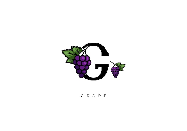 GRAPE VECTOR de frutas