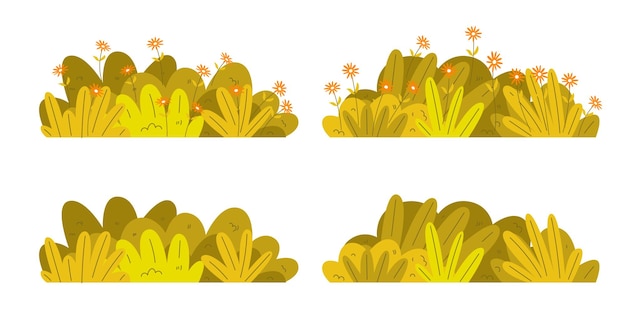 Grass bush yellow autumn bush blossom shrubs during flowering and non flowering seasons
