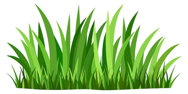 grass on white background