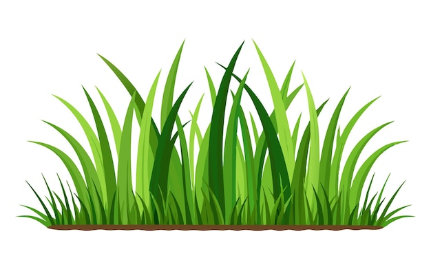 grass on white background