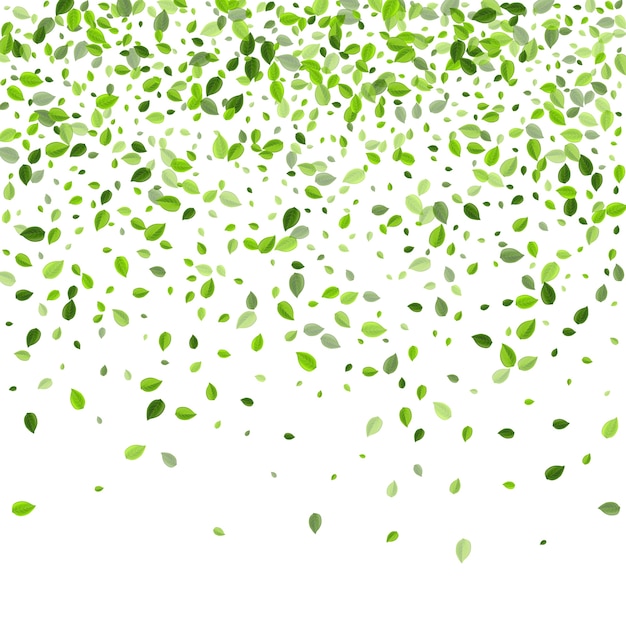 Grassy Leaf Falling Green Ecology Antecedentes
