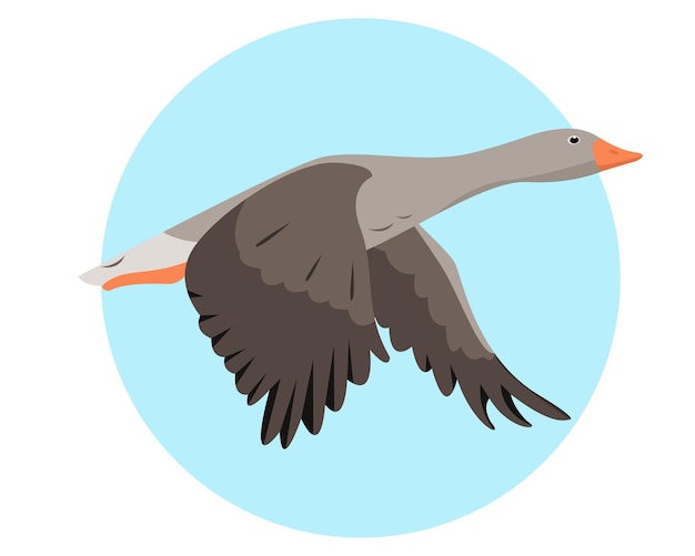 Graylag goose volando en el cielo icono de aves migratorias silvestres