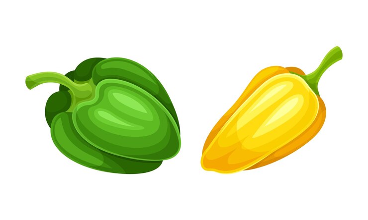 Vector green and yellow pepper fresh organic vegetable set vector illustration