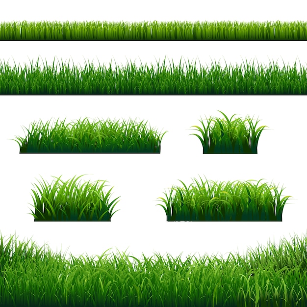 Green Grass Borders Big Set