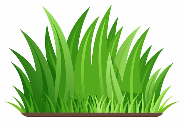 Green grass vector on white background