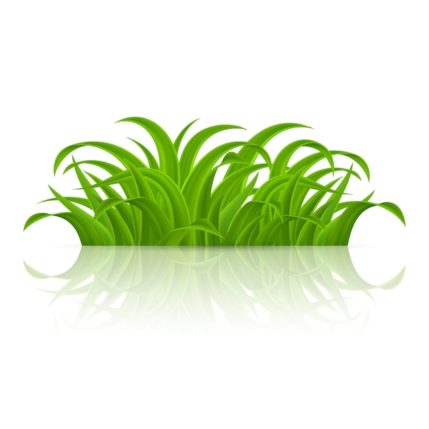 Green Grass