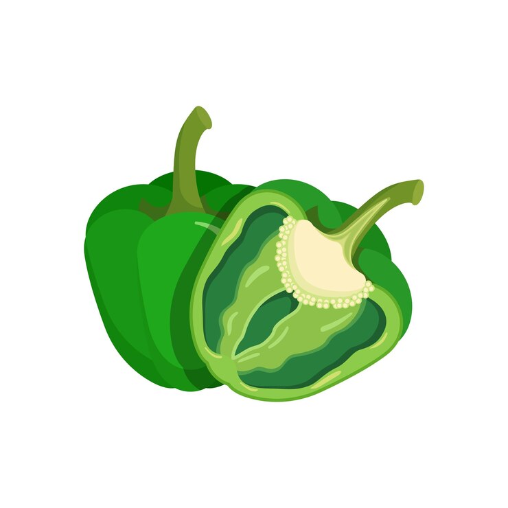 Vector green pepper bell icon in flat style fresh paprika vector illustration on isolated background healthy food sign business concept