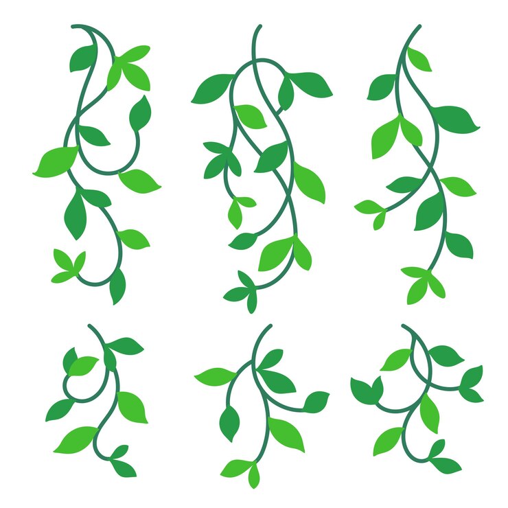Vector green vine clipart set cartoon leaves and curly vines vector collection
