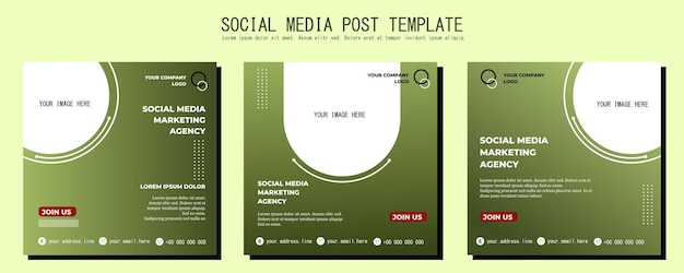 Green White Vector Social Media Post Template ilustración de arte vectorial y texto Diseño simple y elegante a todo color