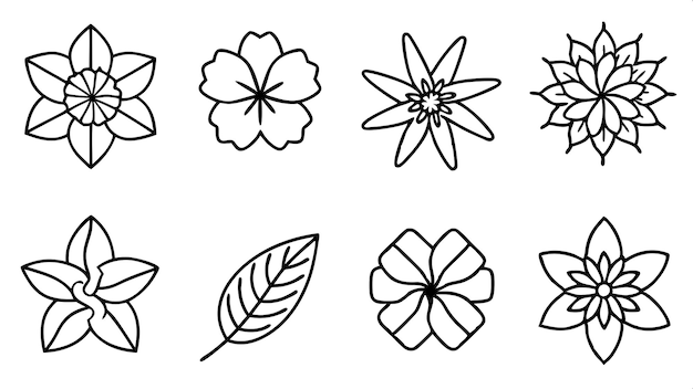 Grilla minimalista de siluetas de flores tropicales Ilustración vectorial en un diseño limpio y simple