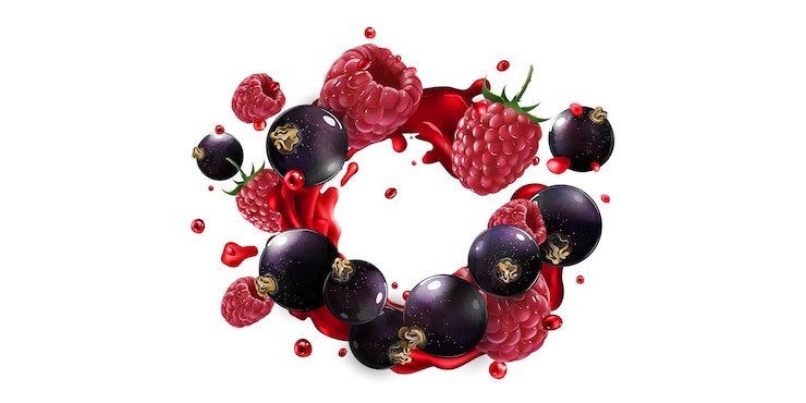 Vector grosella negra fresca y frambuesa en salpicaduras de jugo de frutas sobre un fondo blanco.