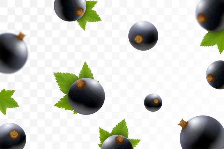 Vector grosella negra o fondo de blackberry blackberry volador con hoja verde sobre fondo transparente blackberry cayendo desde diferentes ángulos objetos enfocados y borrosos vector realista 3d