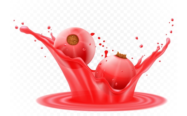 Grosella roja en un chorrito de jugo o yogur Baya fresca cae en el jugo 3d ilustración vectorial realista aislada sobre fondo blanco Alimentos dulces Fruta orgánica