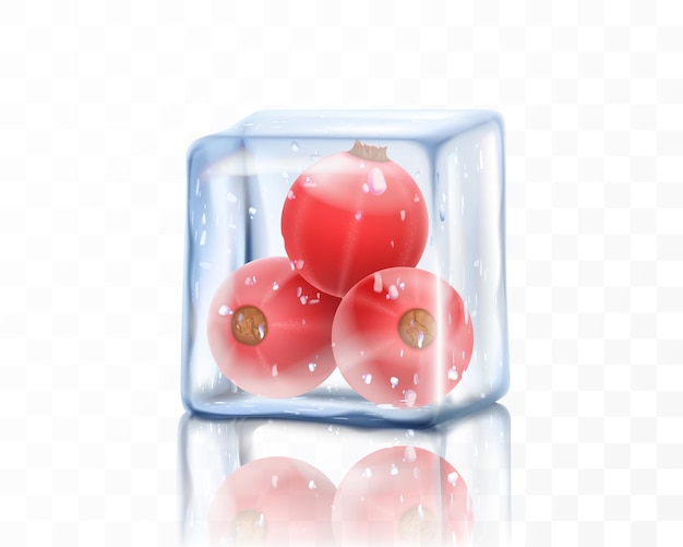 Vector grosella roja madura fresca en cubo de hielo aislado sobre fondo transparente bayas de grosella roja congelada ilustración vectorial 3d realista