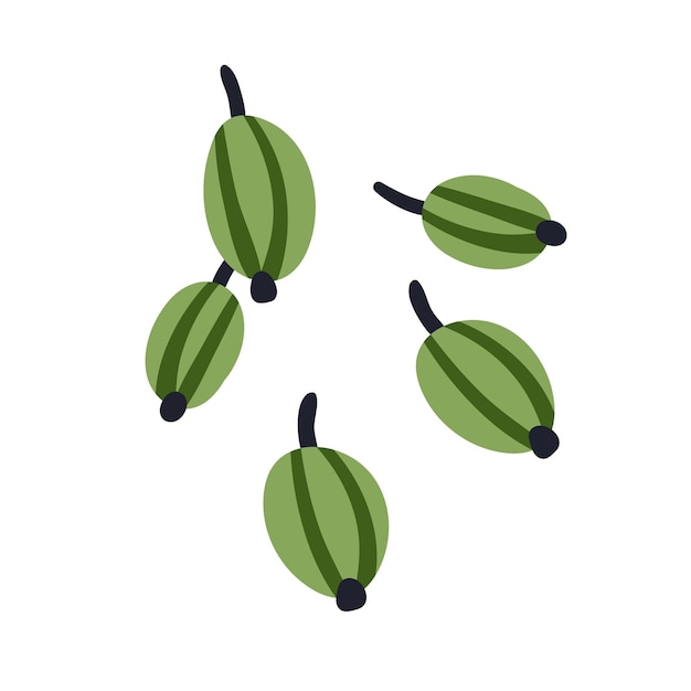 Grosellas verdes. Frutos dispersos de bayas de ganso. Alimentos frescos y maduros, consumo de vitaminas saludables orgánicas. Ilustración de vector plano aislado sobre fondo blanco.