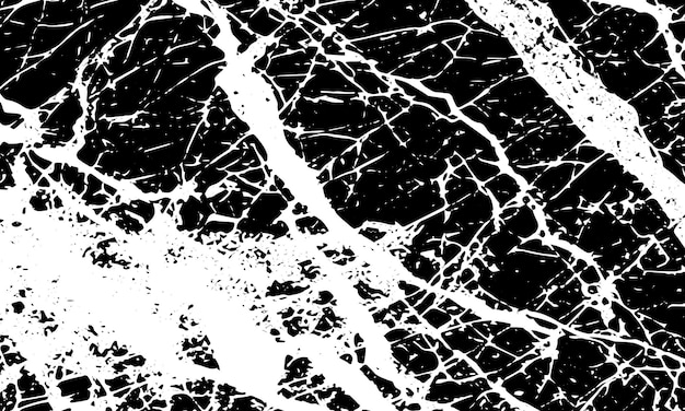 Grunge detallada textura abstracta negra fondo vectorial