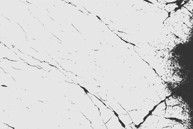 Grunge detallada textura entrelazada hilos líneas venas de alambre monocromático Grunge viejo detallado textura gris negro y blanco fondo vectorial