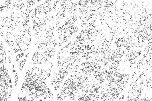 Grunge de patrones en blanco y negro Eps10 vector Fondo transparente