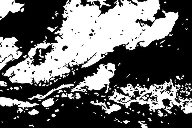 Grunge de textura negra y blanca Grunge detallado de textura abstracta negra Venas de rayas Arte abstracto