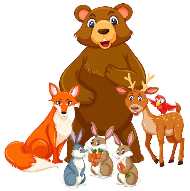 Grupo de animal lindo