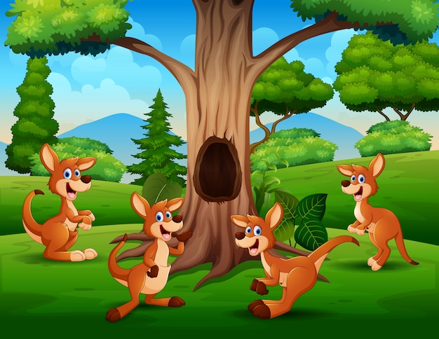 Un grupo de canguros jugando bajo el árbol.