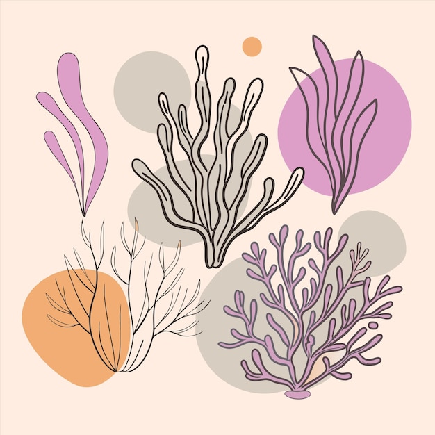 un grupo de corales de diferentes colores con diferentes colores