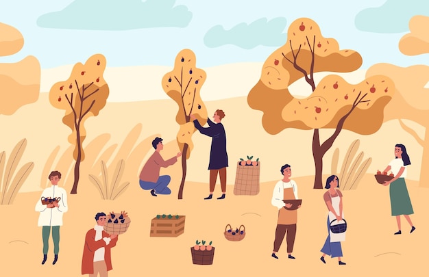 Grupo de granjeros recogiendo frutas de temporada de los árboles en la ilustración plana del vector del jardín. hombre y mujer en el huerto con manzanas, naranjas y ciruelas. trabajadores agrícolas con cosecha de otoño.